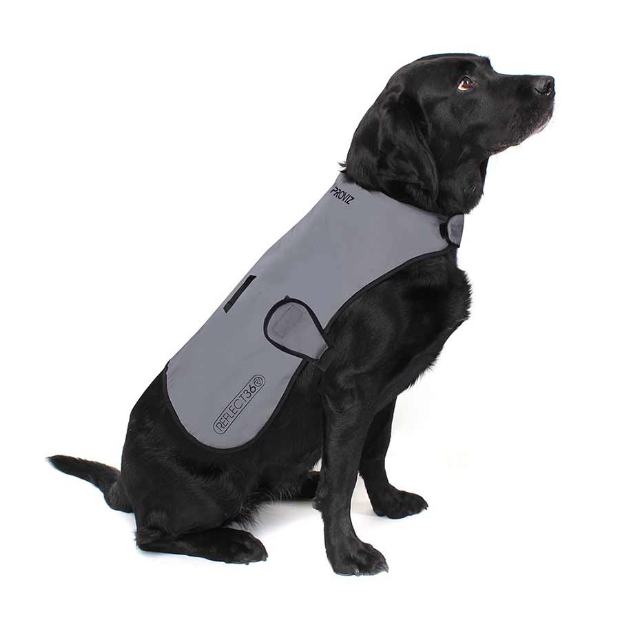 PROVIZ, Dog Cover, Silver