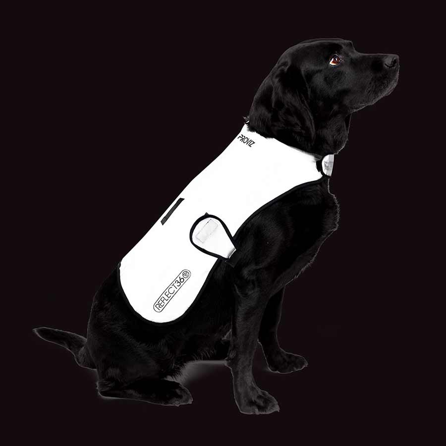 PROVIZ, Dog Cover, Silver