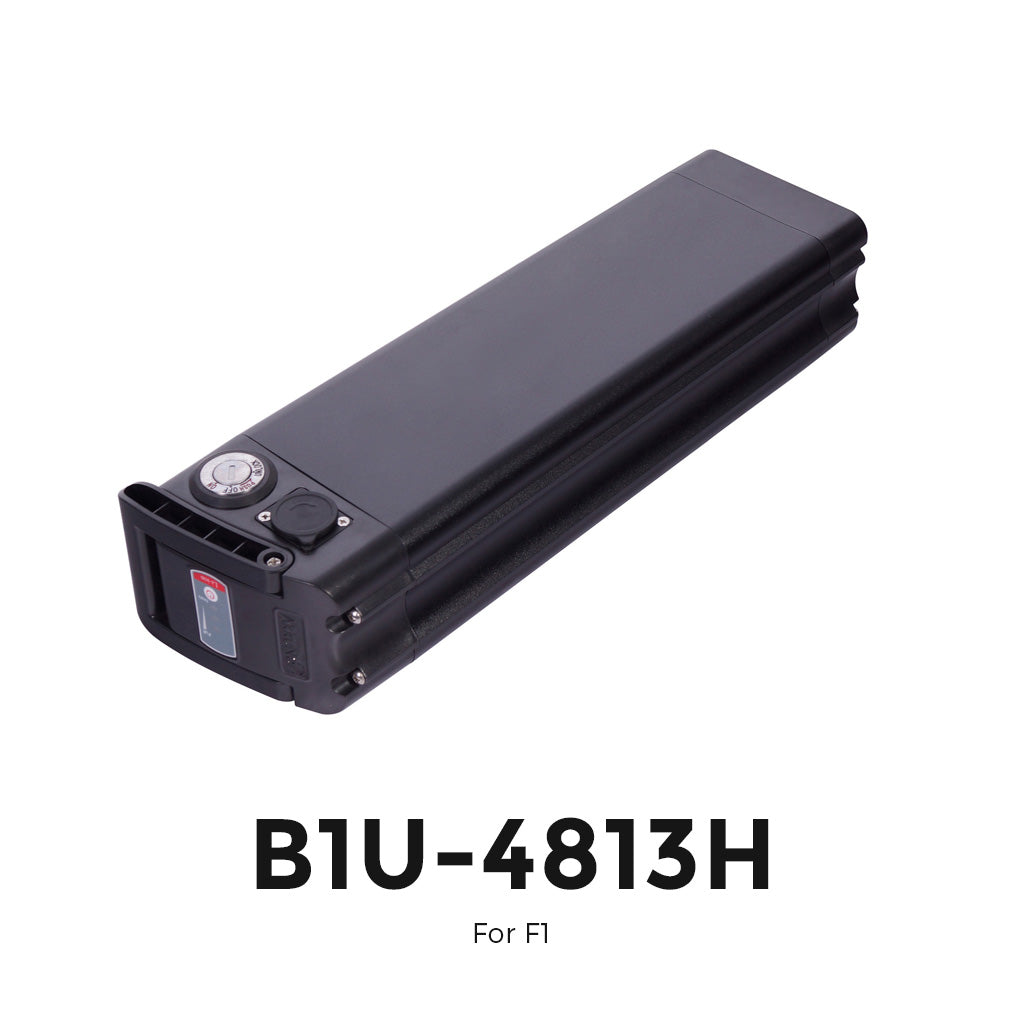 BATTERY, B1U, 48V 13AH/16AH, for F1/F1  Plus