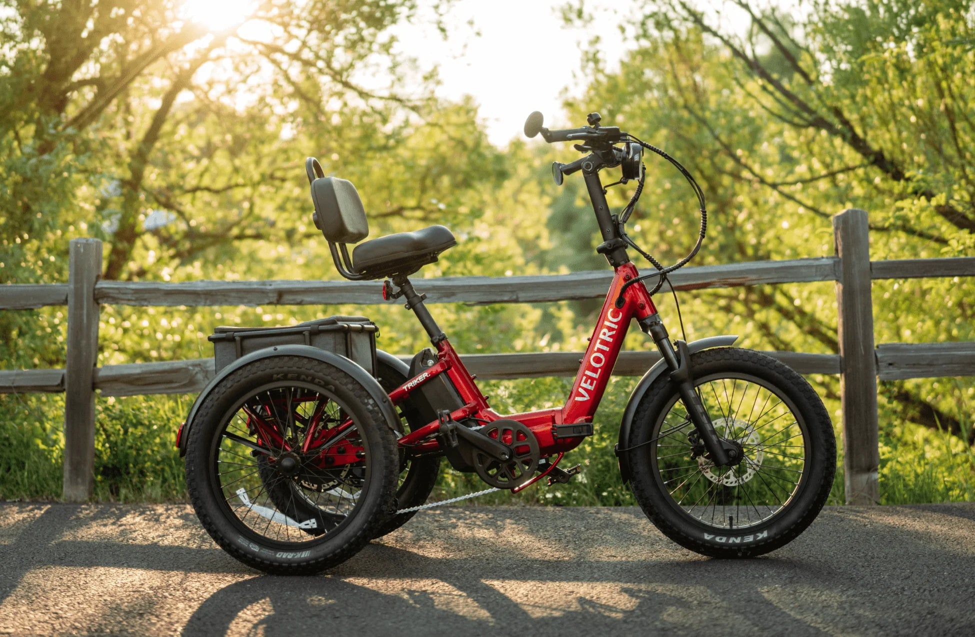 VELOTRIC, Triker Electric Tricycle (Pre-order 2 weeks)