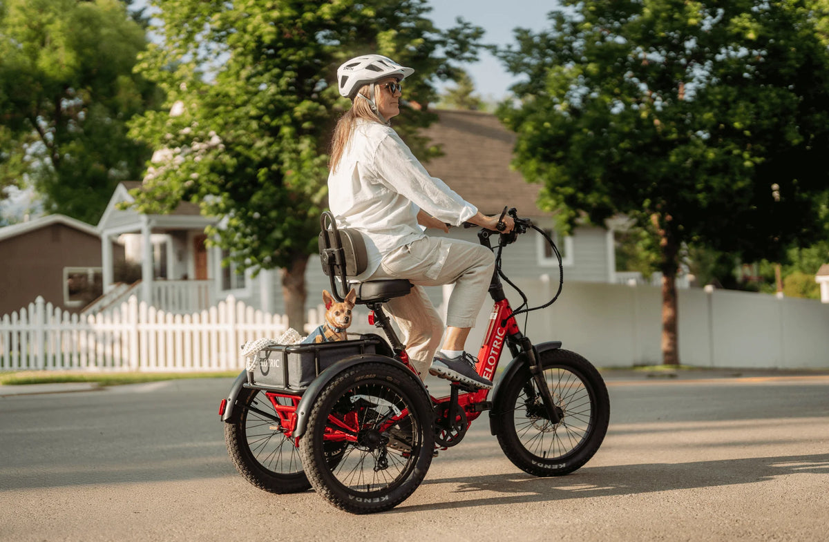 VELOTRIC, Triker Electric Tricycle (Pre-order 2 weeks)