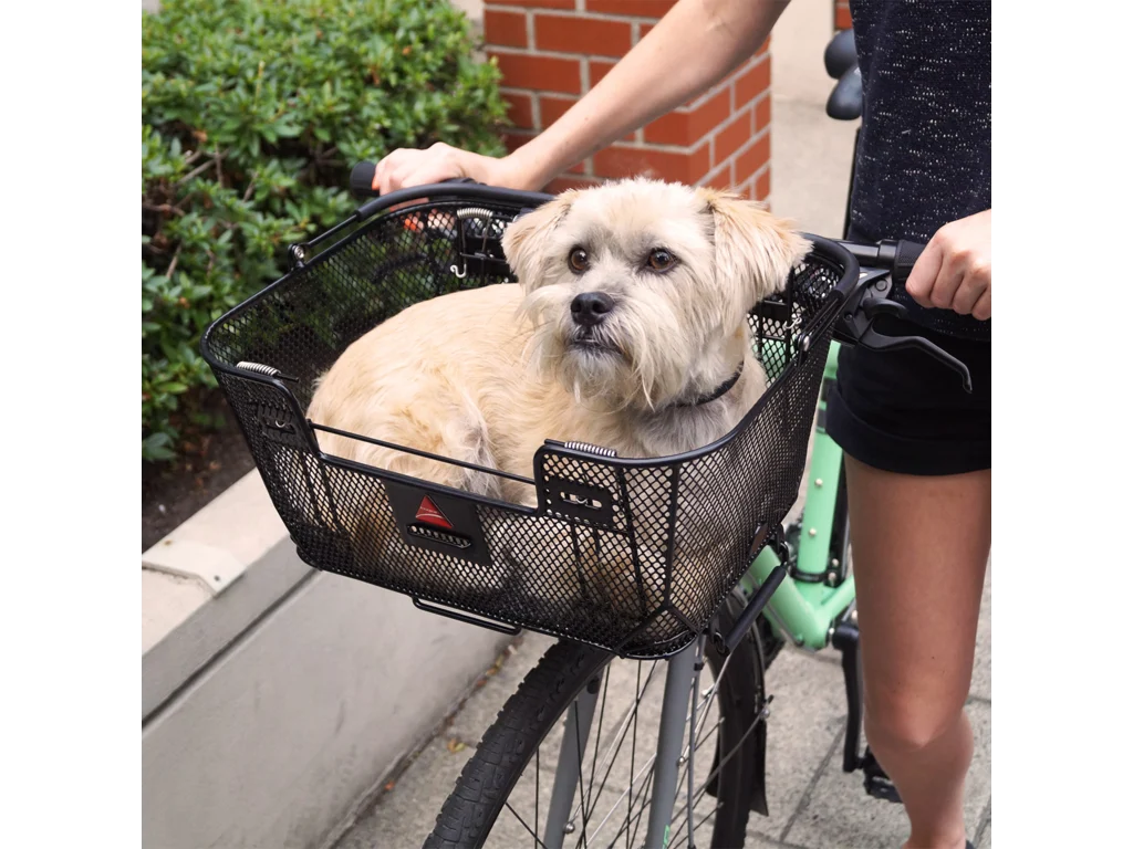 AXIOM, Quick Release Dual Function PET BASKET