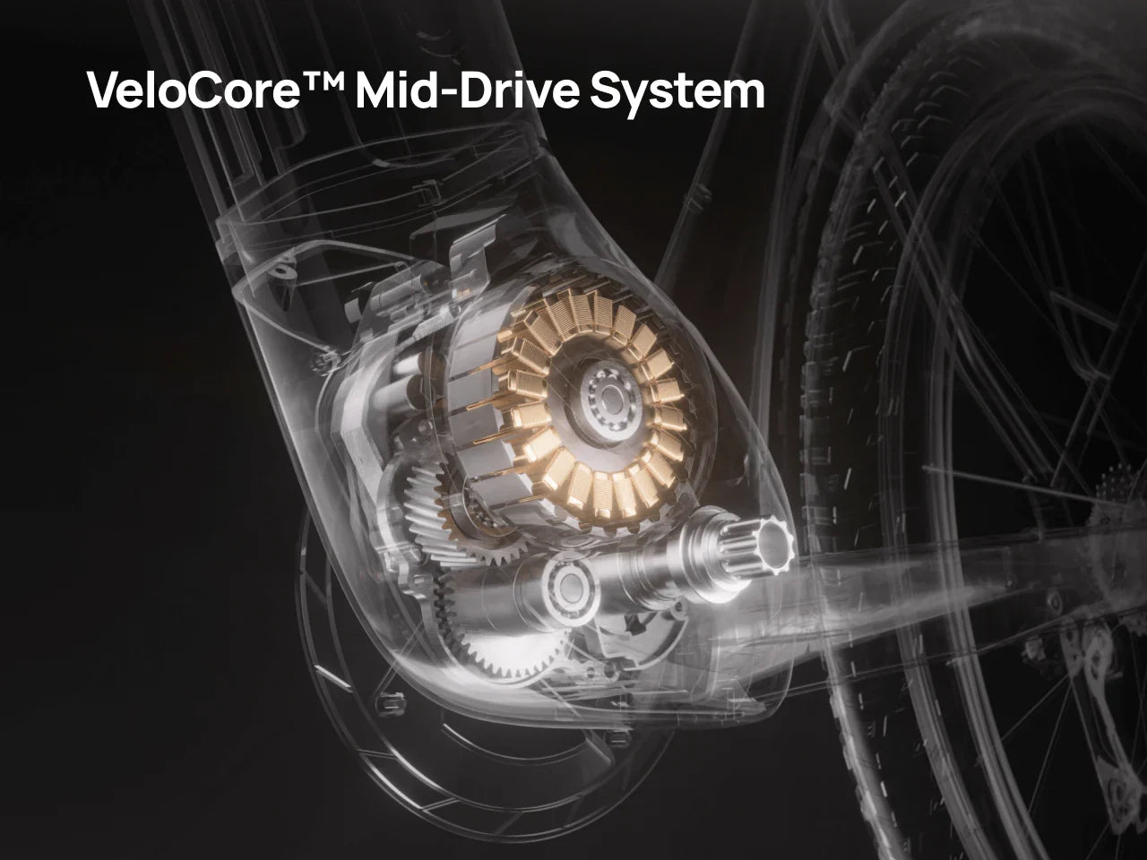 VELOTRIC, Discover M (Pre-order 2 weeks)
