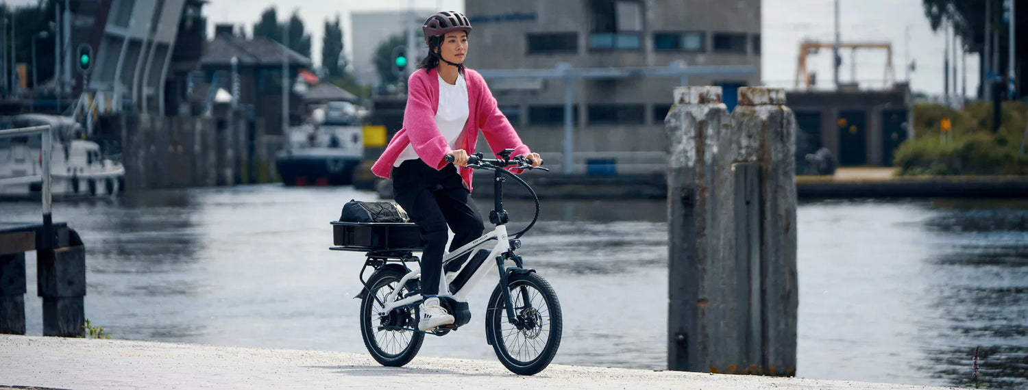 Can EBike Really Save Me Money?