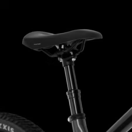 Aventon, Ramblas, eMTB