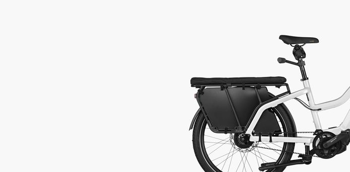 Passenger Kit (Handlebar, Foot Rests, Cushion, Wheel Guards, Double Leg Kickstands) for R&M Multicharger2 GT Cargo eBike