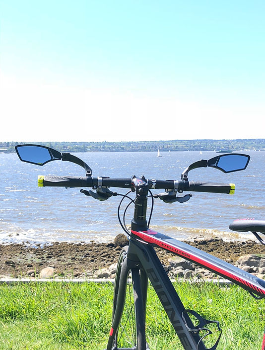 Hafny Left Handler Bike Mirror