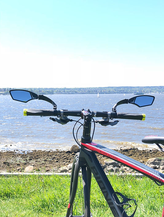 Hafny, Left Handler Bike Mirror