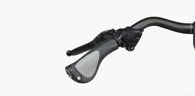 GX Options & Comfort Kit for Riese & Muller Homage