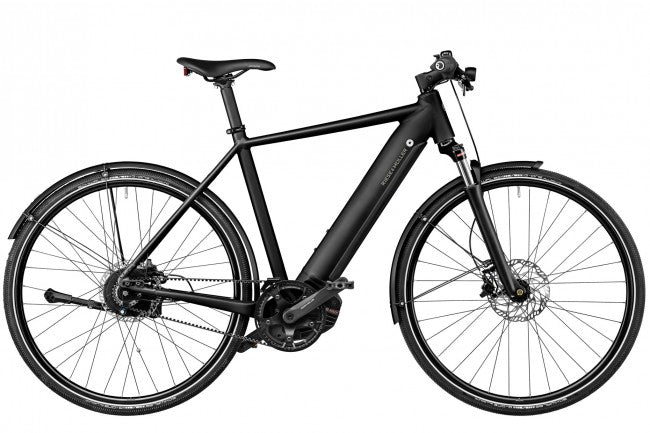 Riese & Muller Roadster eBike