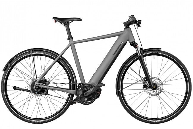 Riese & Muller Roadster eBike