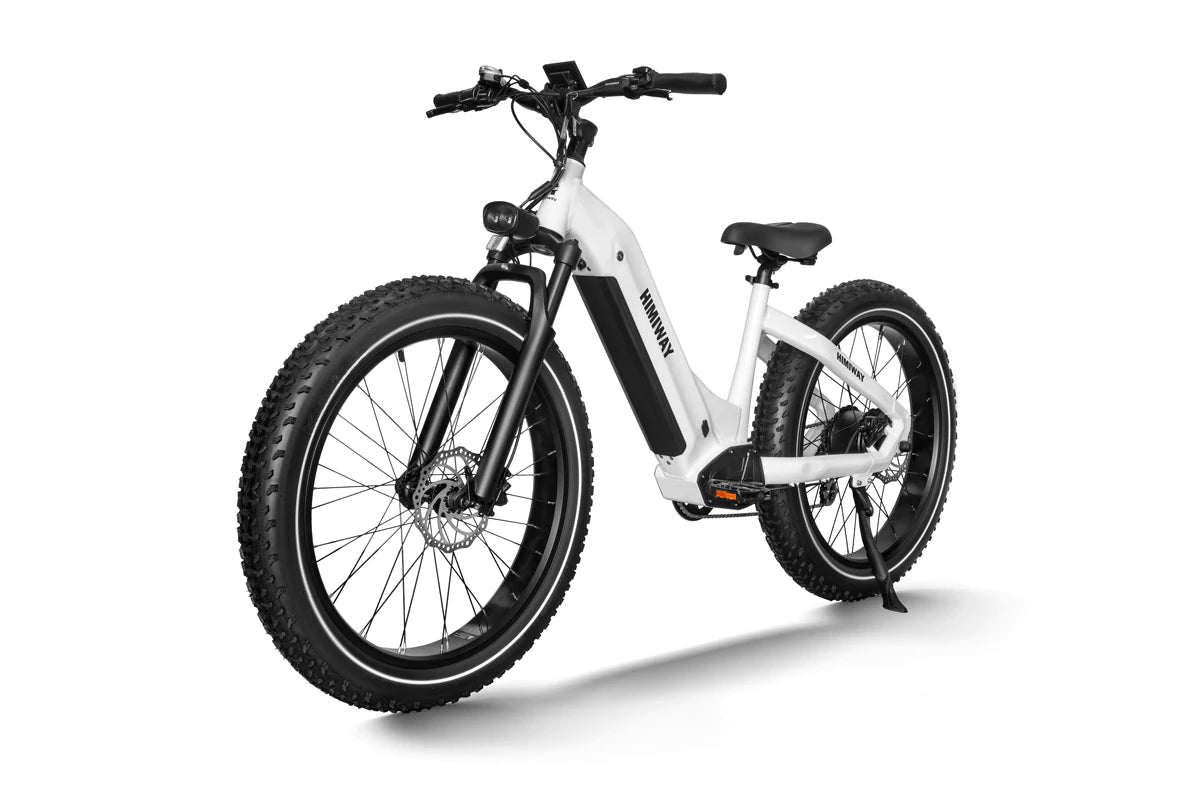 Himiway Zebra Premium All-terrain Electric Fat Bike